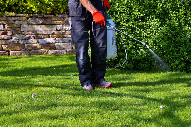 Emergency Pest Control in Wagener, SC